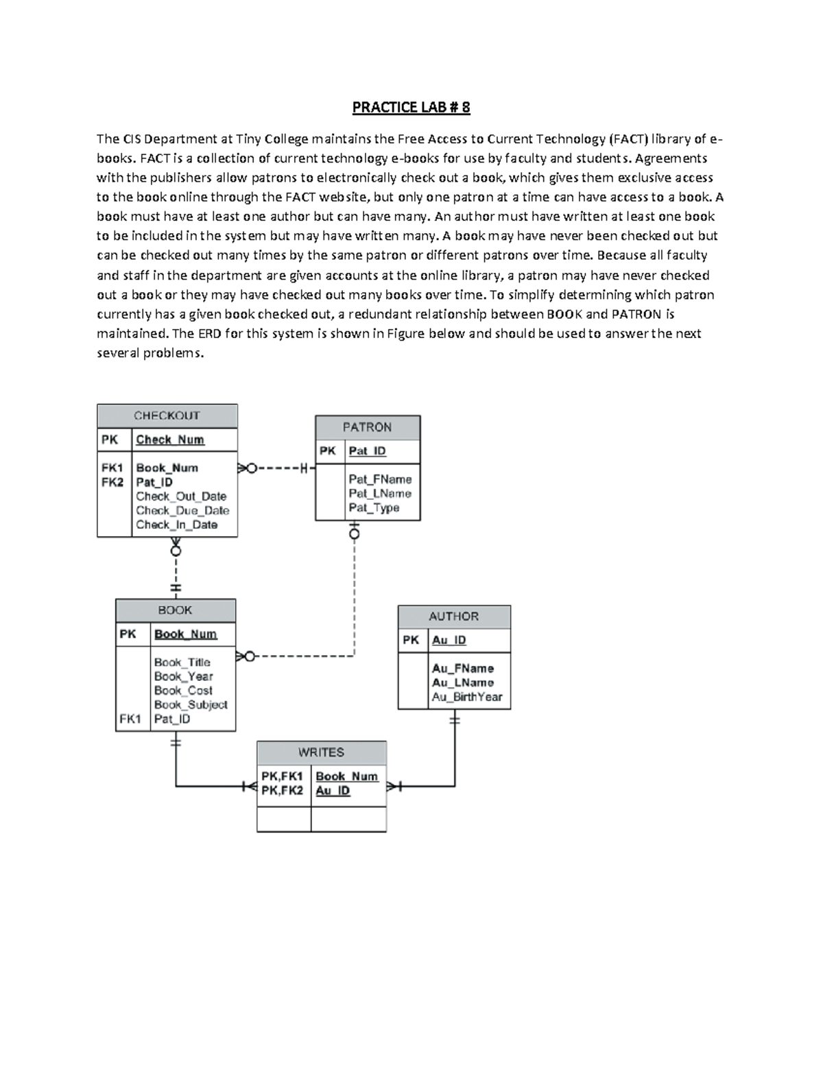 CIS Course: Practice Lab #8 SQL Query Assignment Guide - Studocu
