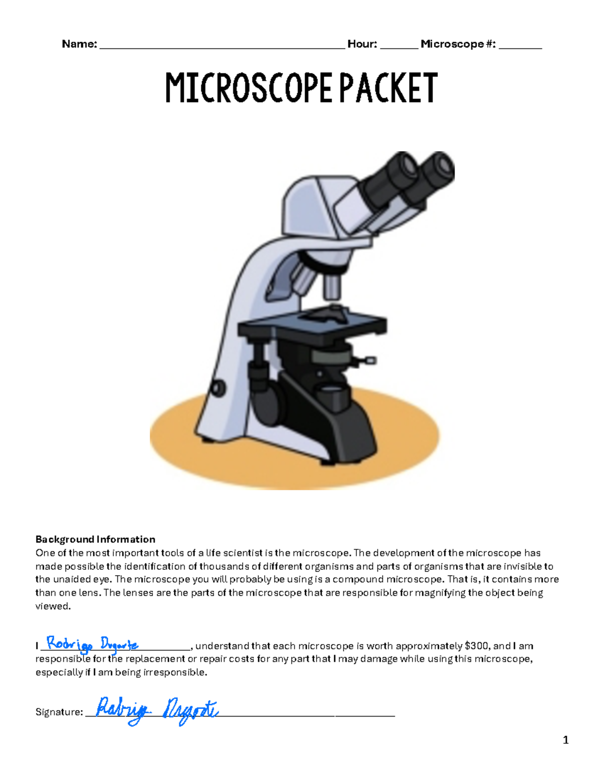 Microscope Packet: Understanding Leaf Structures and Their Features ...