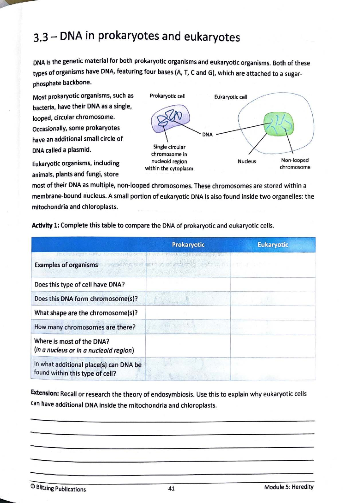 Comparing DNA in Prokaryotes and Eukaryotes: Module 5 Insights - Studocu