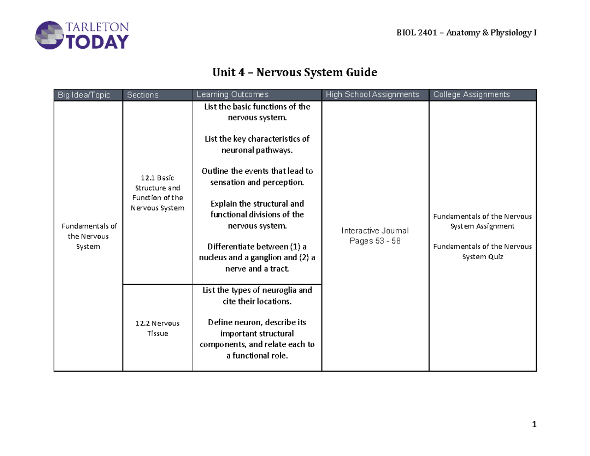 BIOL 2401 Anatomy Physiology I Unit 4 Nervous System Study Guide - Studocu