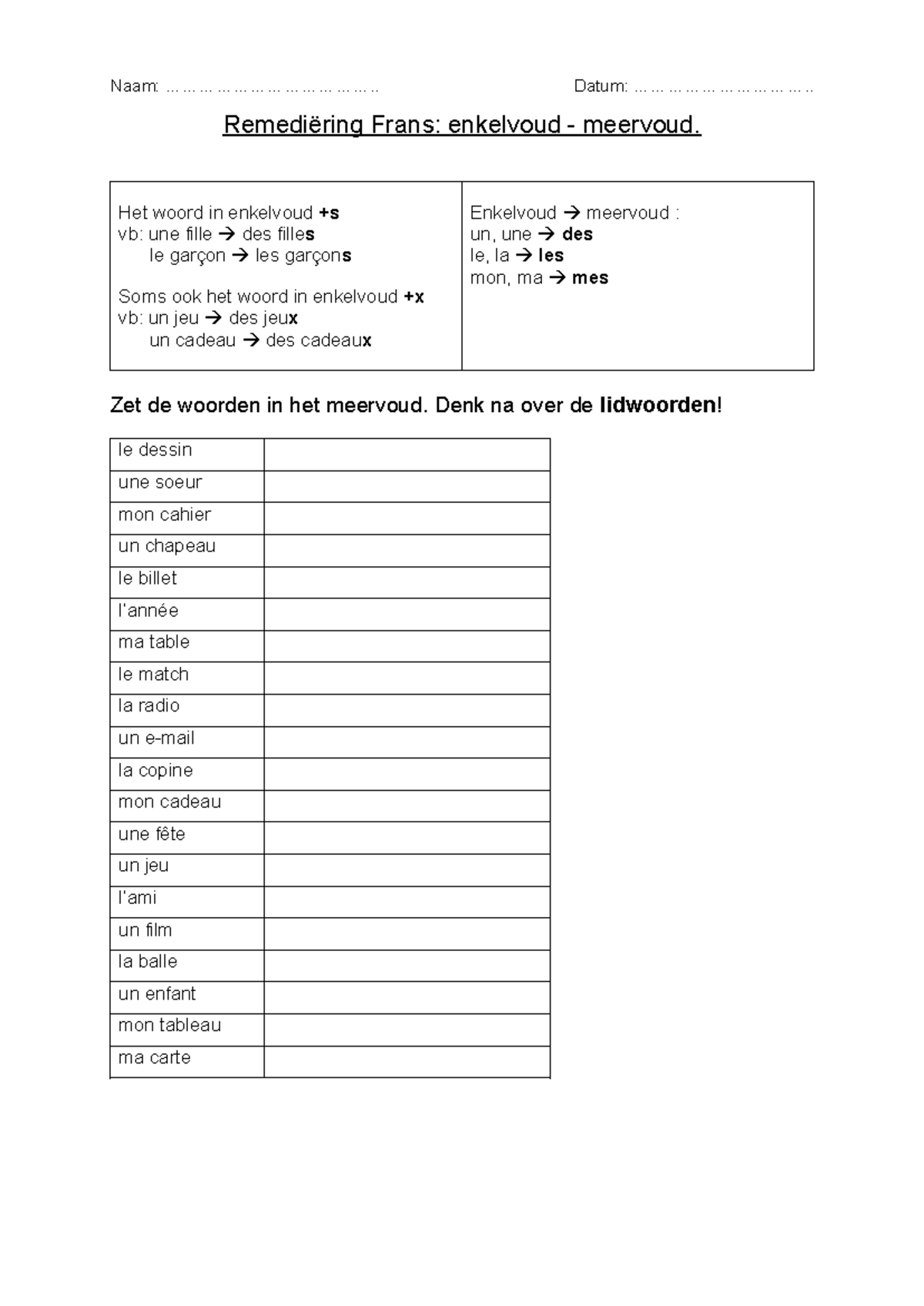 Remediëring enkelvoud - meervoud - Naam ...