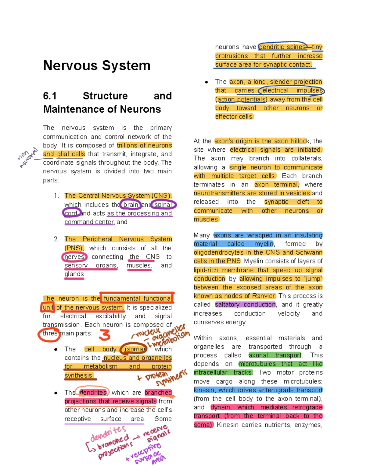 Nervous System Structure & Function: Detailed Notes (Course Code: NS 6. ...