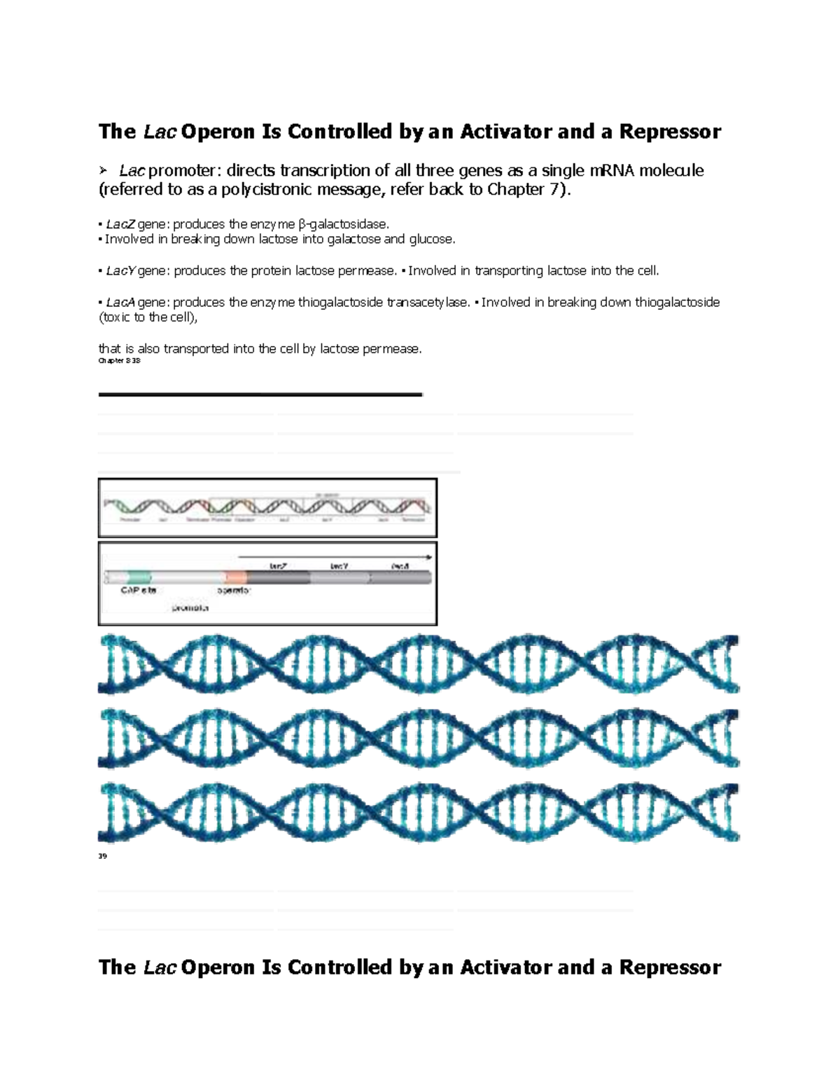 Lac Operon Regulation: Activators and Repressors Overview - Studocu
