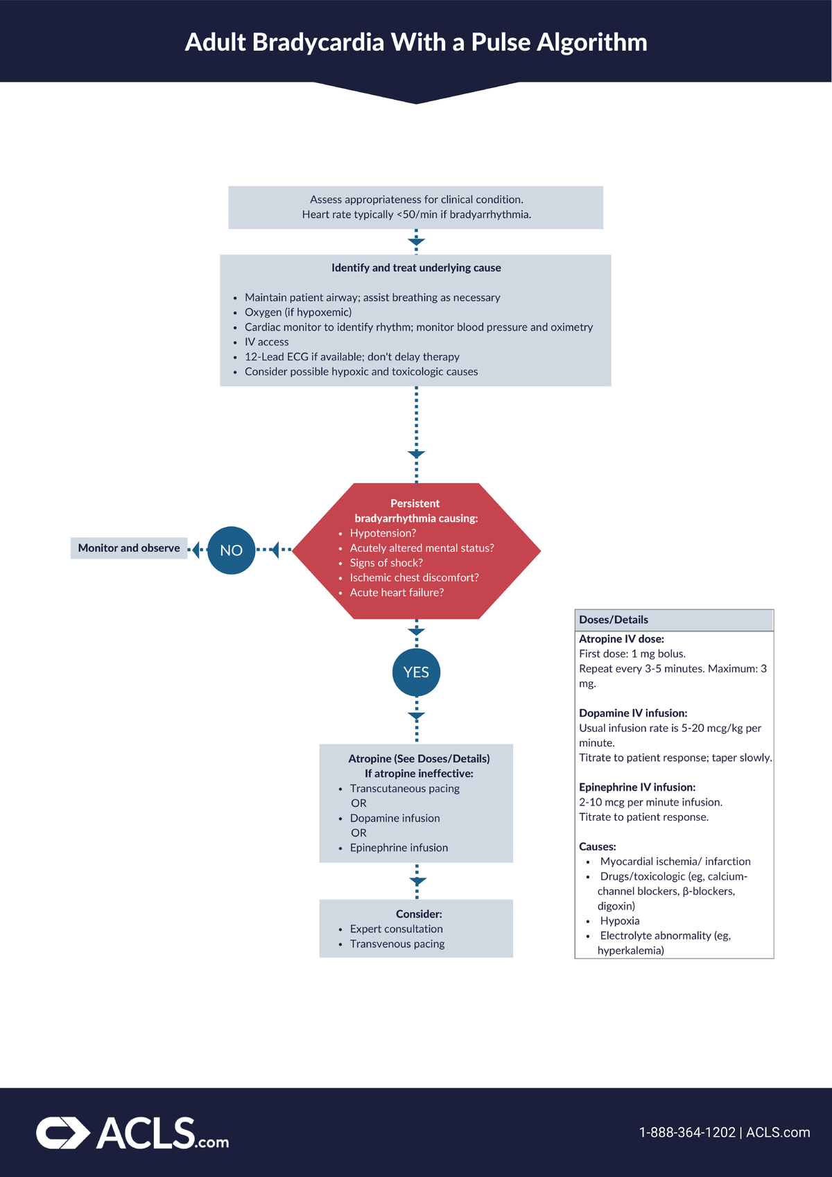 Adult Bradycardia with a Pulse Algorithm: Clinical Management Guide ...