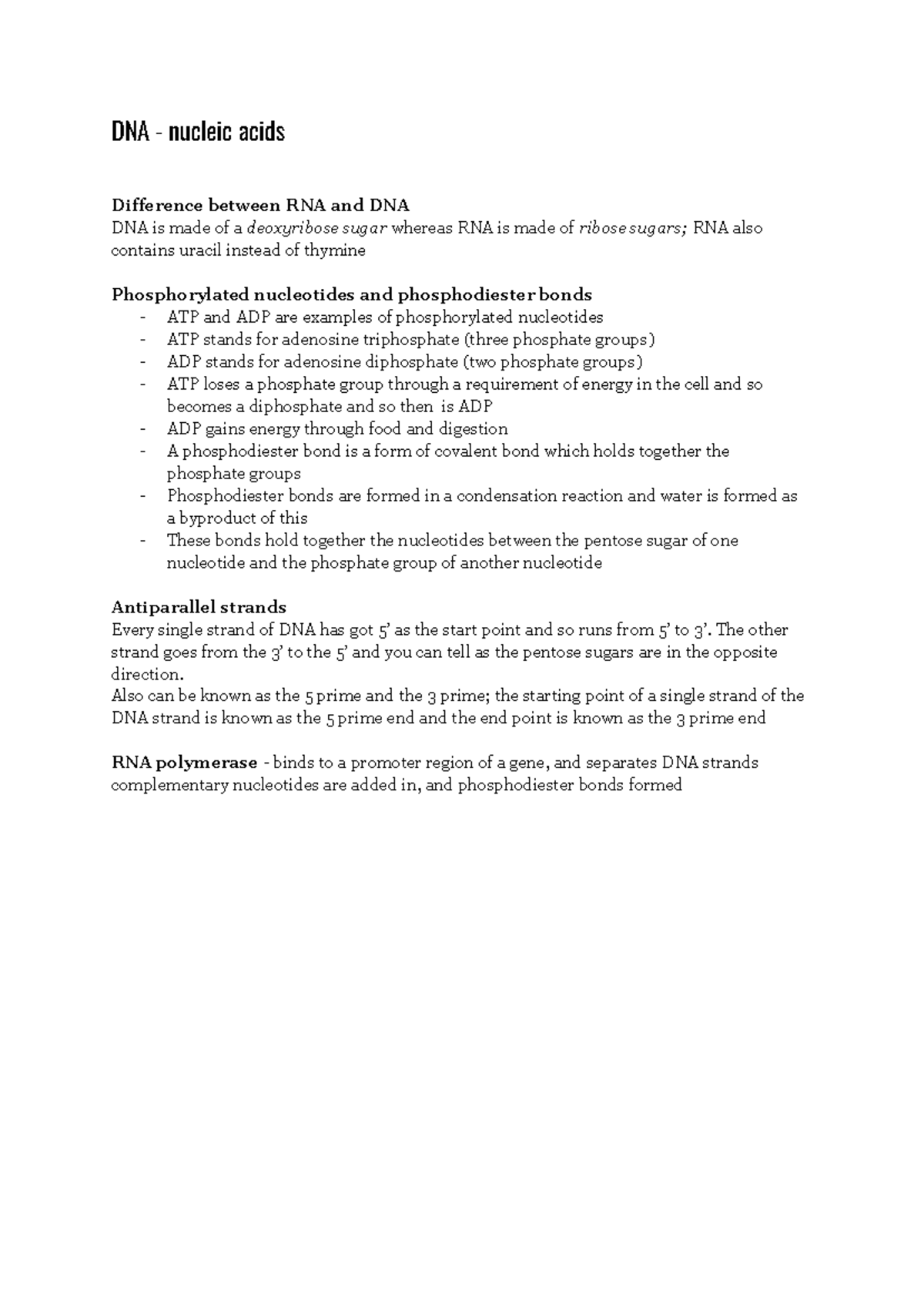 Notes on structure of DNA - DNA - nucleic acids Difference between RNA ...