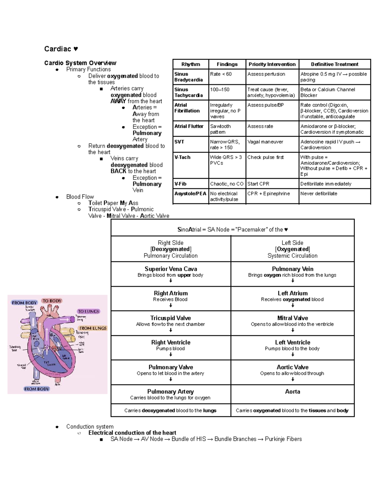 CC Exam 2 - Cardiac System Overview and Key Interventions - Studocu