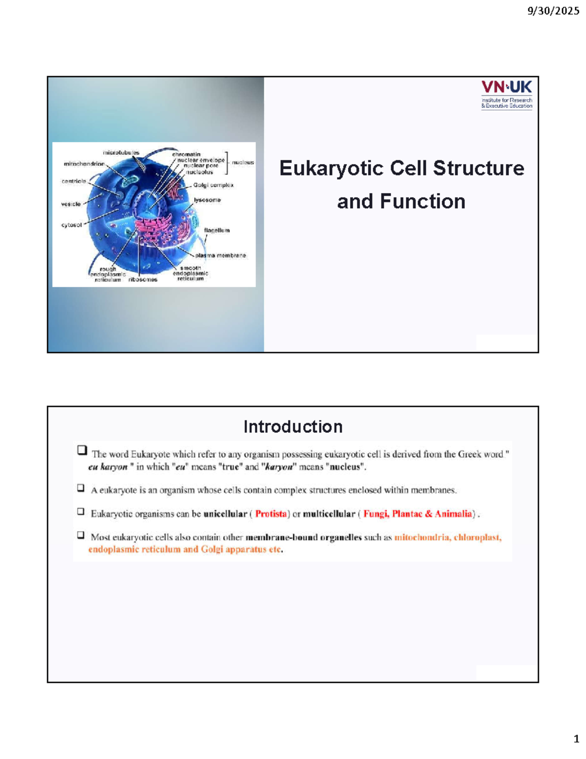 Chapter 3: Eukaryotic Cell Structures & Functions (W3) - Studocu