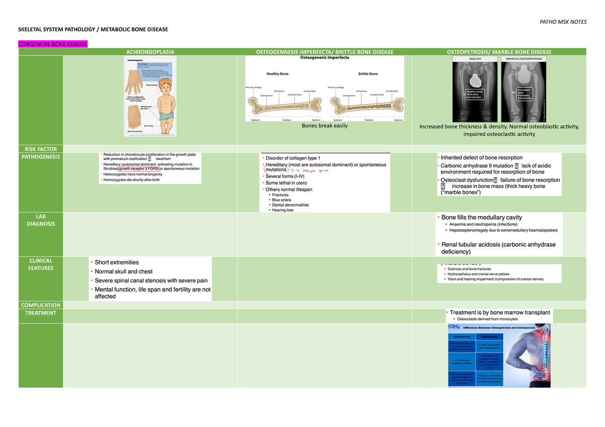 Patho MSK Notes - SKELETAL SYSTEM PATHOLOGY / METABOLIC BONE DISEASE ...