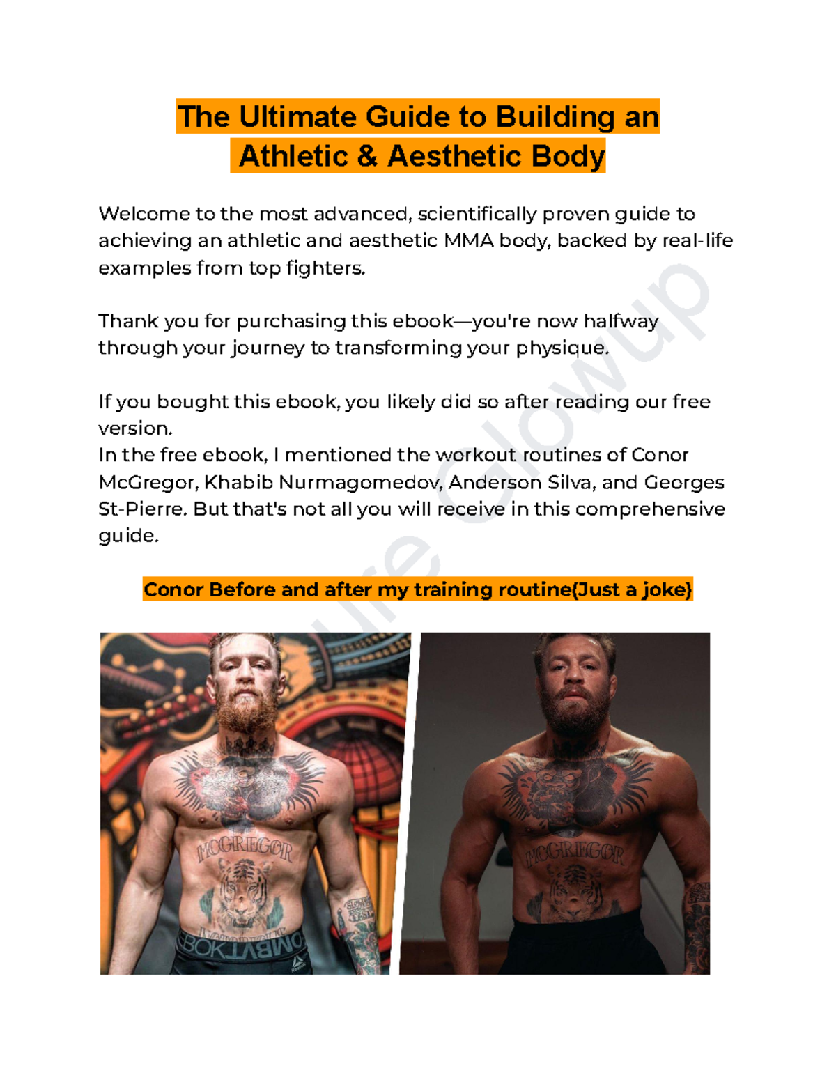 MMA 101: Your Final Guide to the Ultimate Workout Routine - Studocu