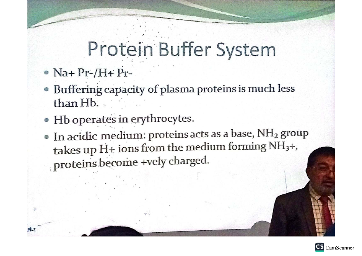 MLT Water Regulation: Buffer Systems and Plasma Proteins - Studocu