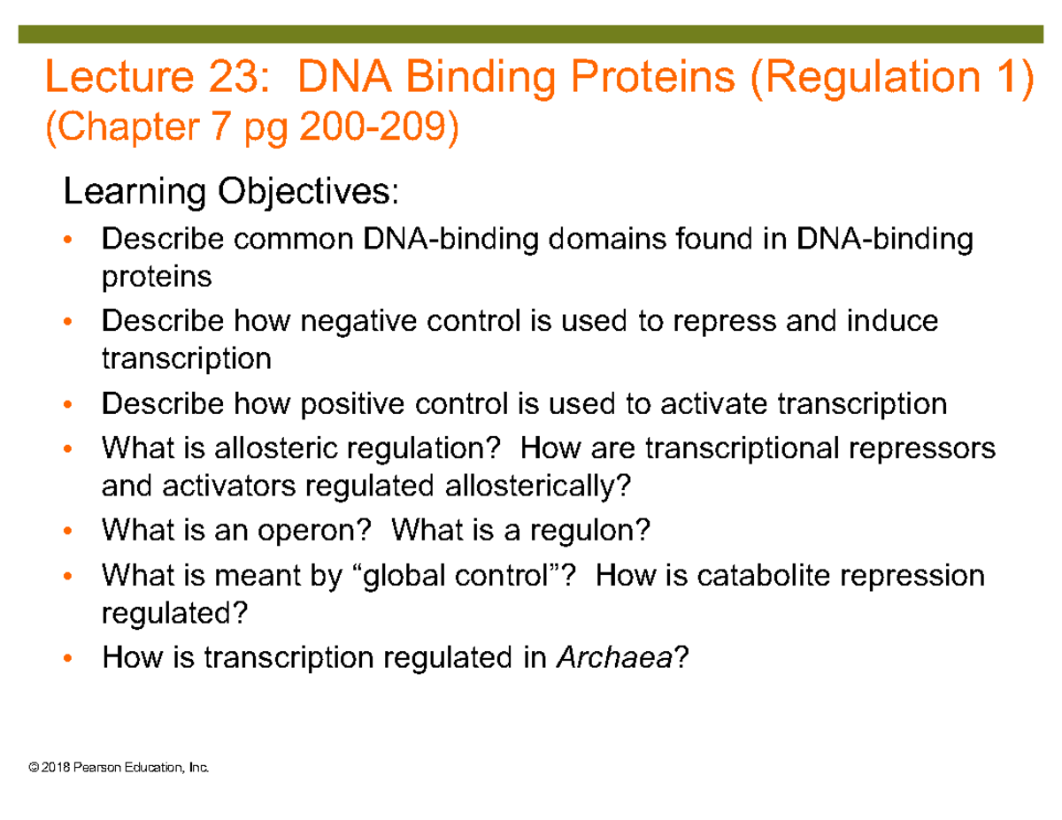 Lecture 23: DNA Binding Proteins and Transcription Regulation - Studocu