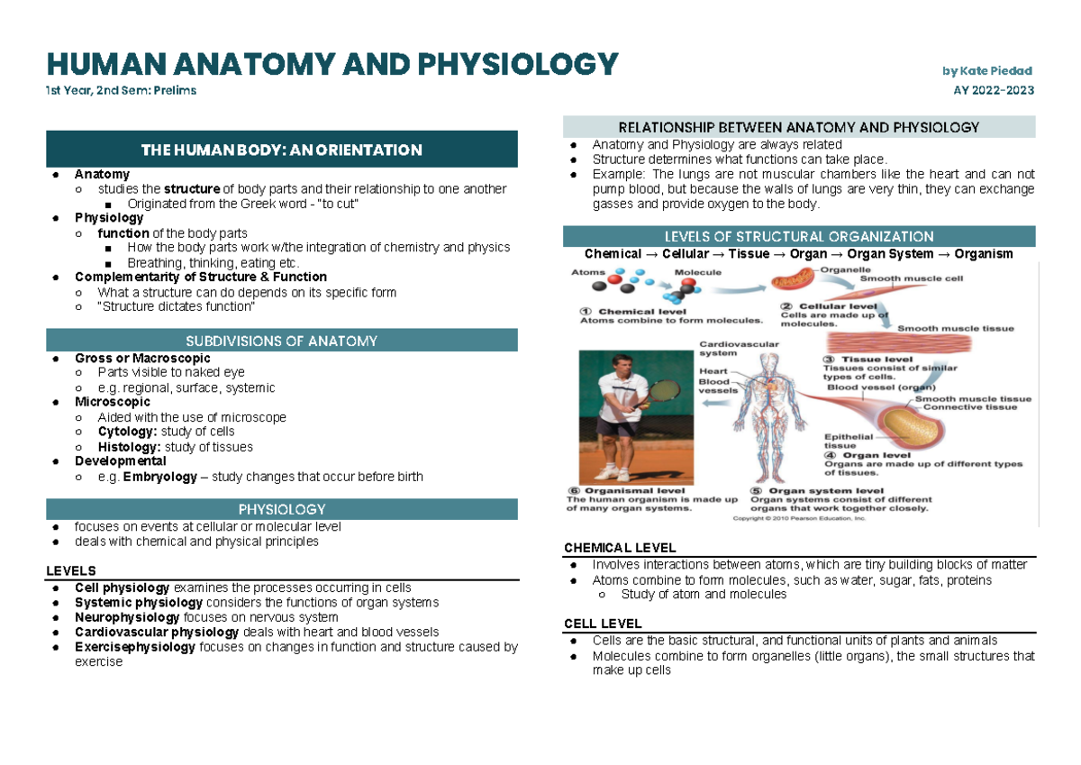 Anaphy (1st Year, 2nd Sem Prelims) - HUMAN ANATOMY AND PHYSIOLOGY by ...