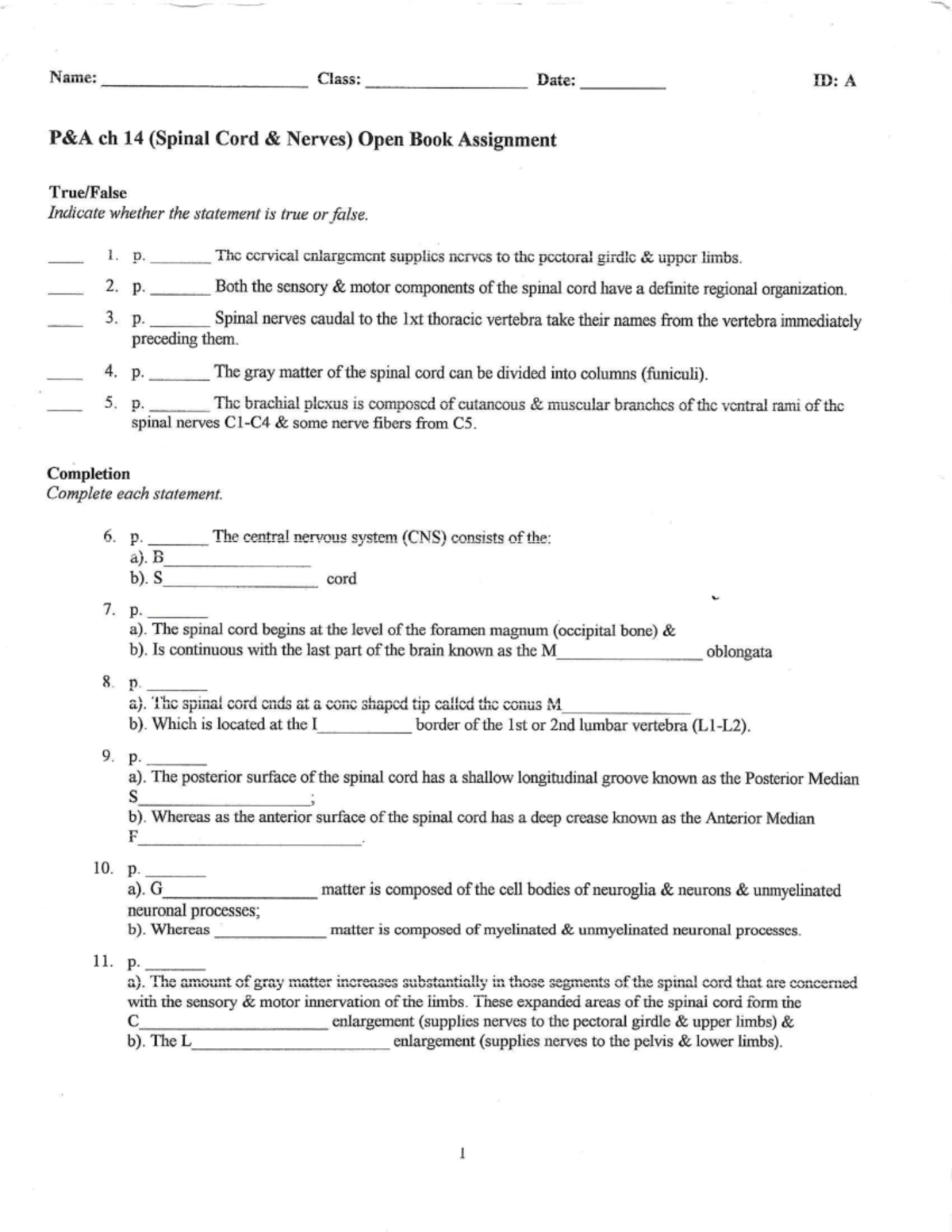 Final Exam Study Guide for Course CODE 101: Spinal Cord Nerves Insights ...