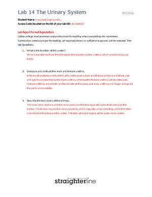 BIO202 Lab 14 - Kidney Function and Urinalysis Report A&P2 - Studocu