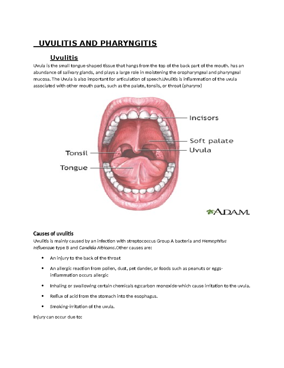 Uvulitis and Pharyngitis: Clinical Overview and Management - Studocu