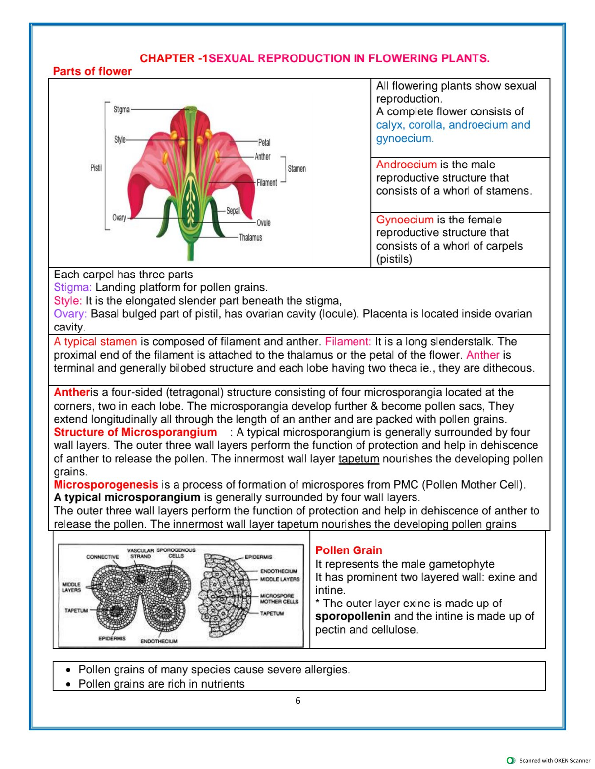 CHAPTER 12: REPRODUCTION IN FLOWERING PLANTS - SSM Biology Notes - Studocu