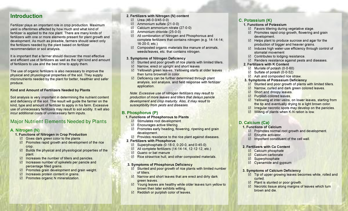 Major Fertilizersand Their Rolesin Rice Production - 2. Fertilizers ...