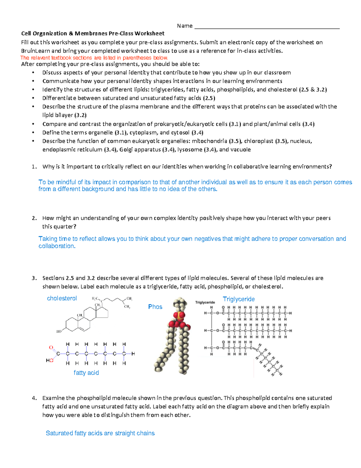 Week 2a Identity Cells Membranes - Name ...