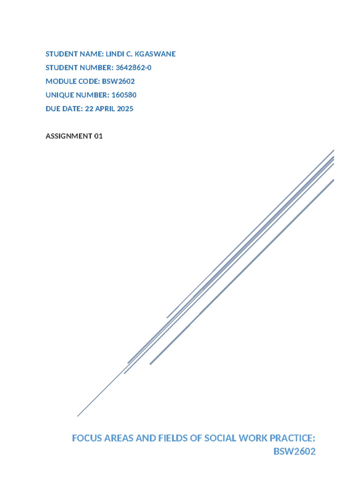 BSW2602 Assignment 01: Focus Areas in Social Work Practice - Studocu