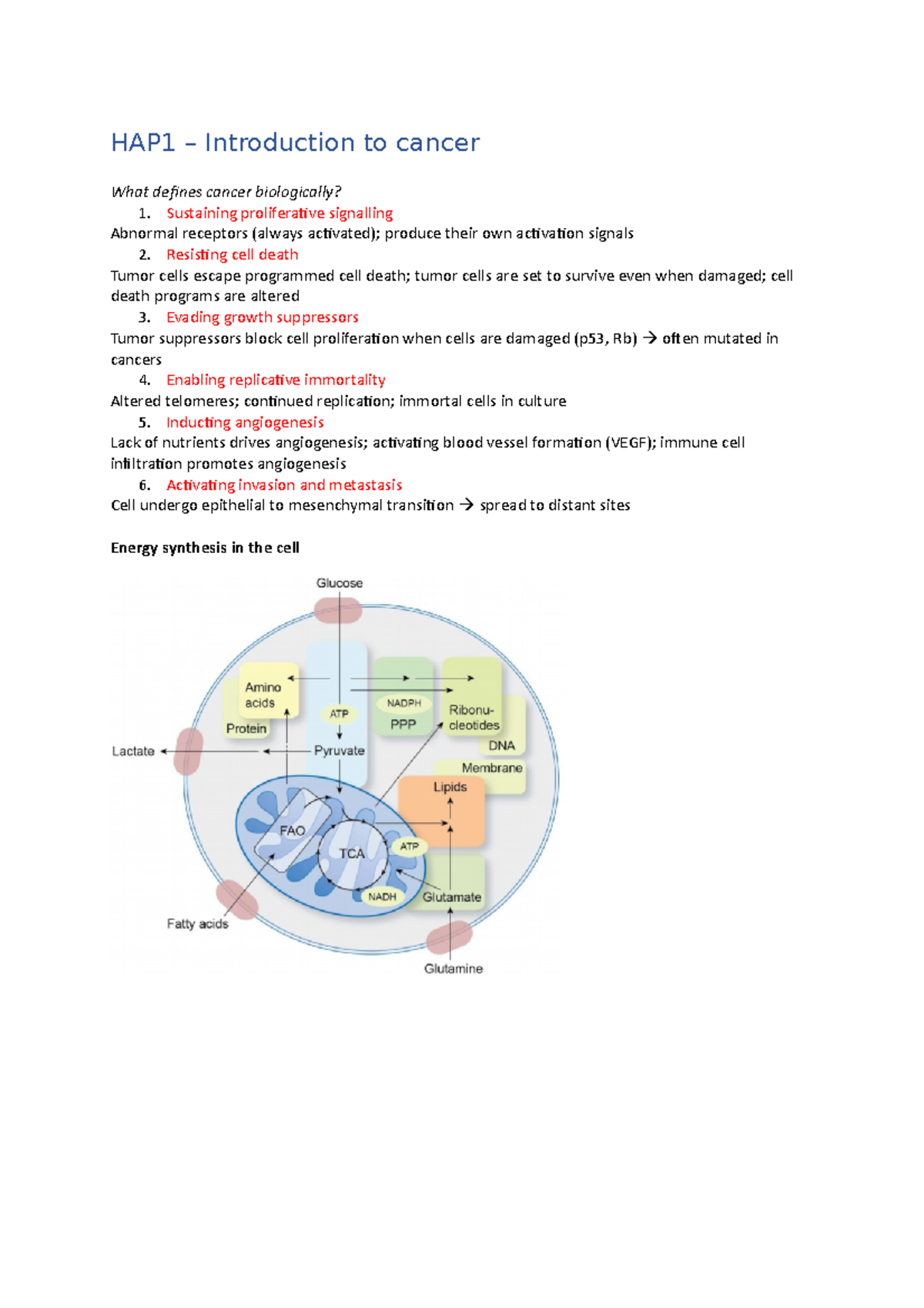 HAP31806 Lecture Notes: Introduction to Cancer Biology and Metabolism ...