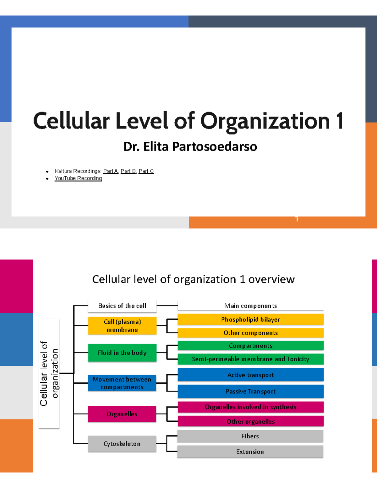 Lecture 3 Cellular level of organization 1 - Cellular Level of ...