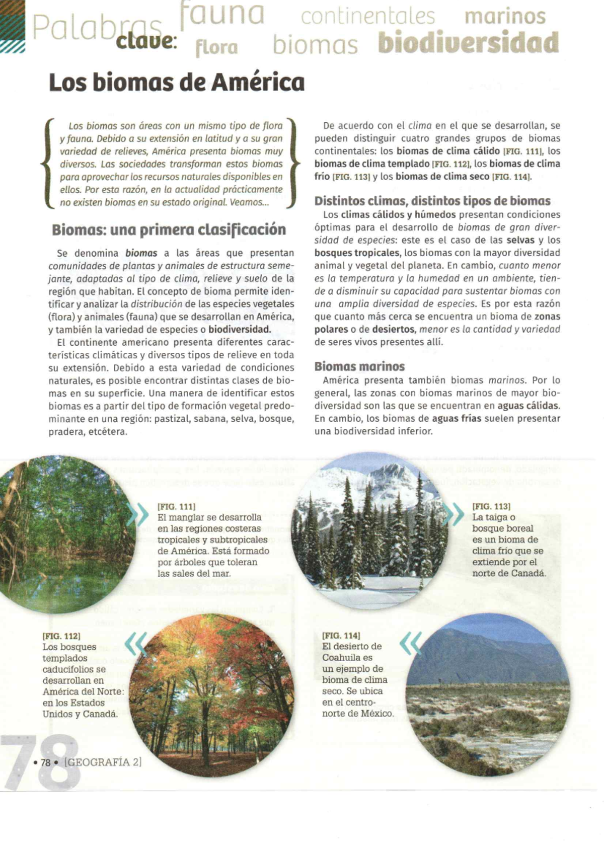 Geografa Biomas Y Suelos De Amrica