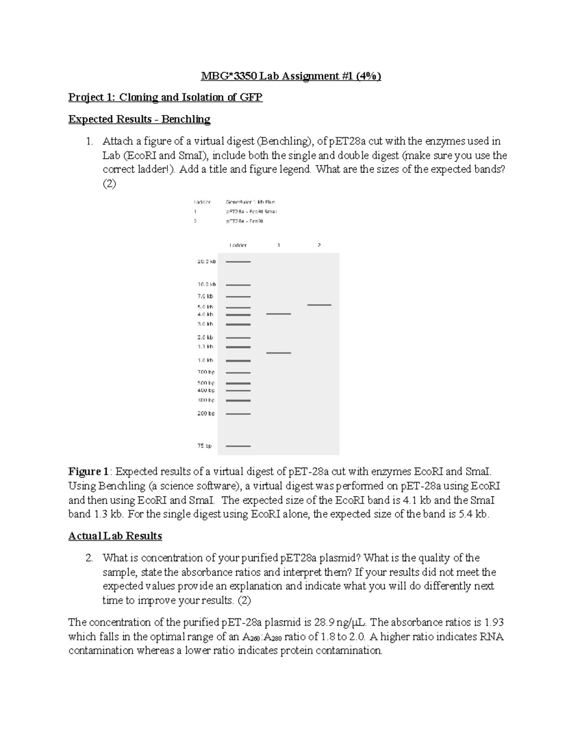 MBG3350 Lab Assignment 1: Cloning, Isolation, and Digest Analysis of ...