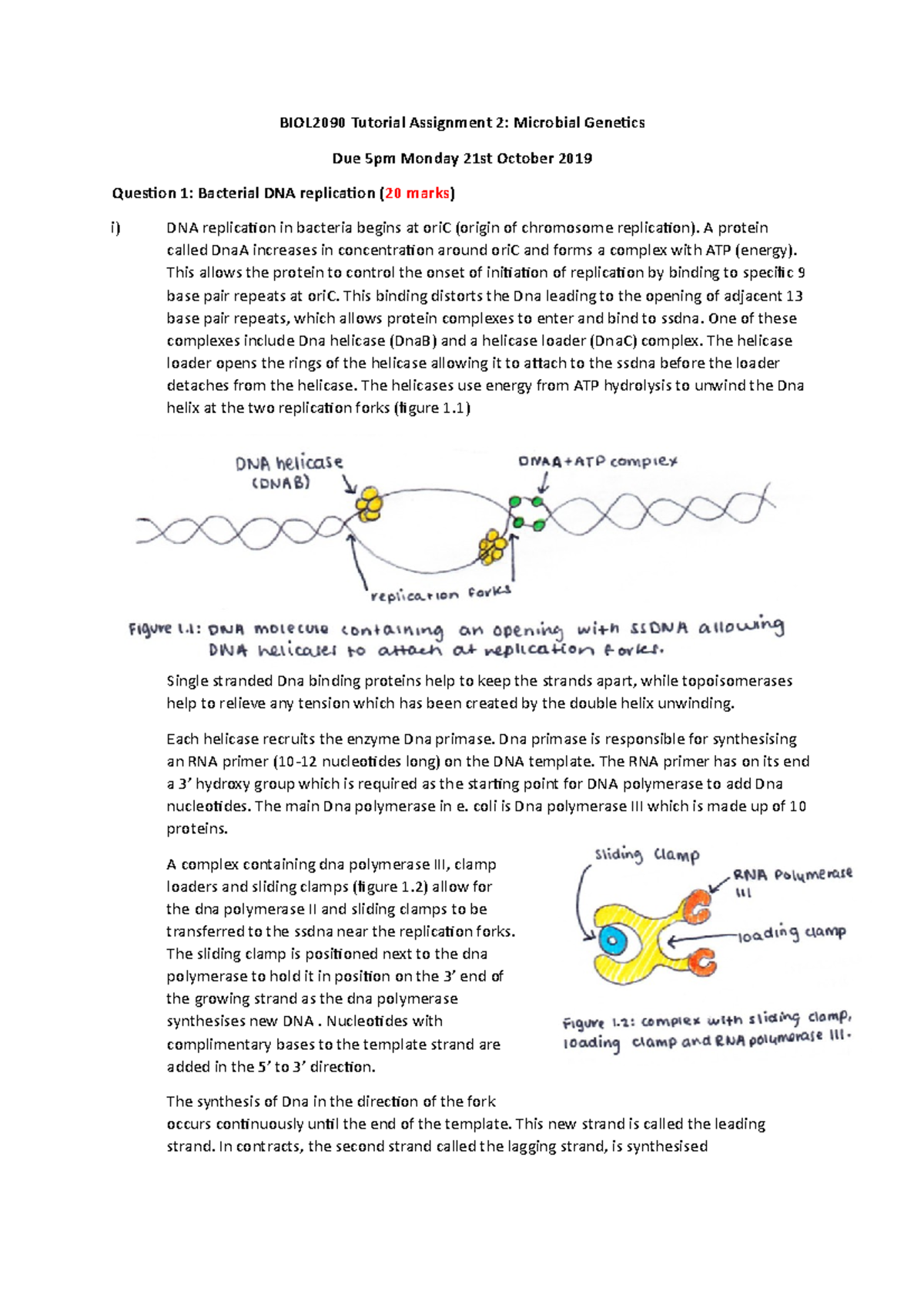 BIOL2090 Assignment 2 - BIOL2090 Tutorial Assignment 2: Microbial ...
