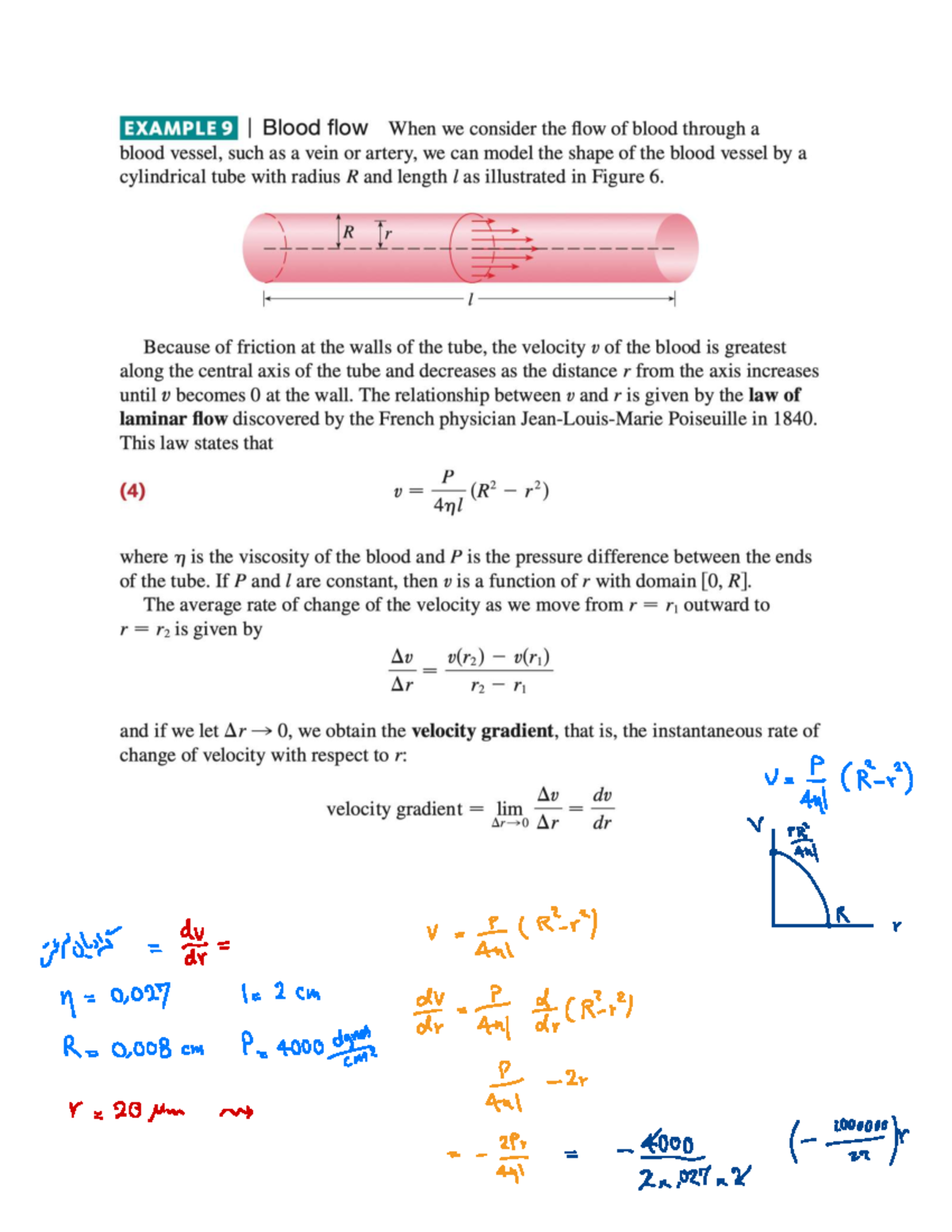 Biomath 101: Q Zare - Math Study Notes - Studocu