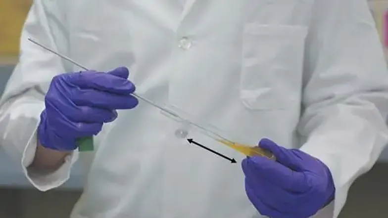 Lab 1-4 Aseptic Transfers & Inoculation Methods Report Sheet - Studocu