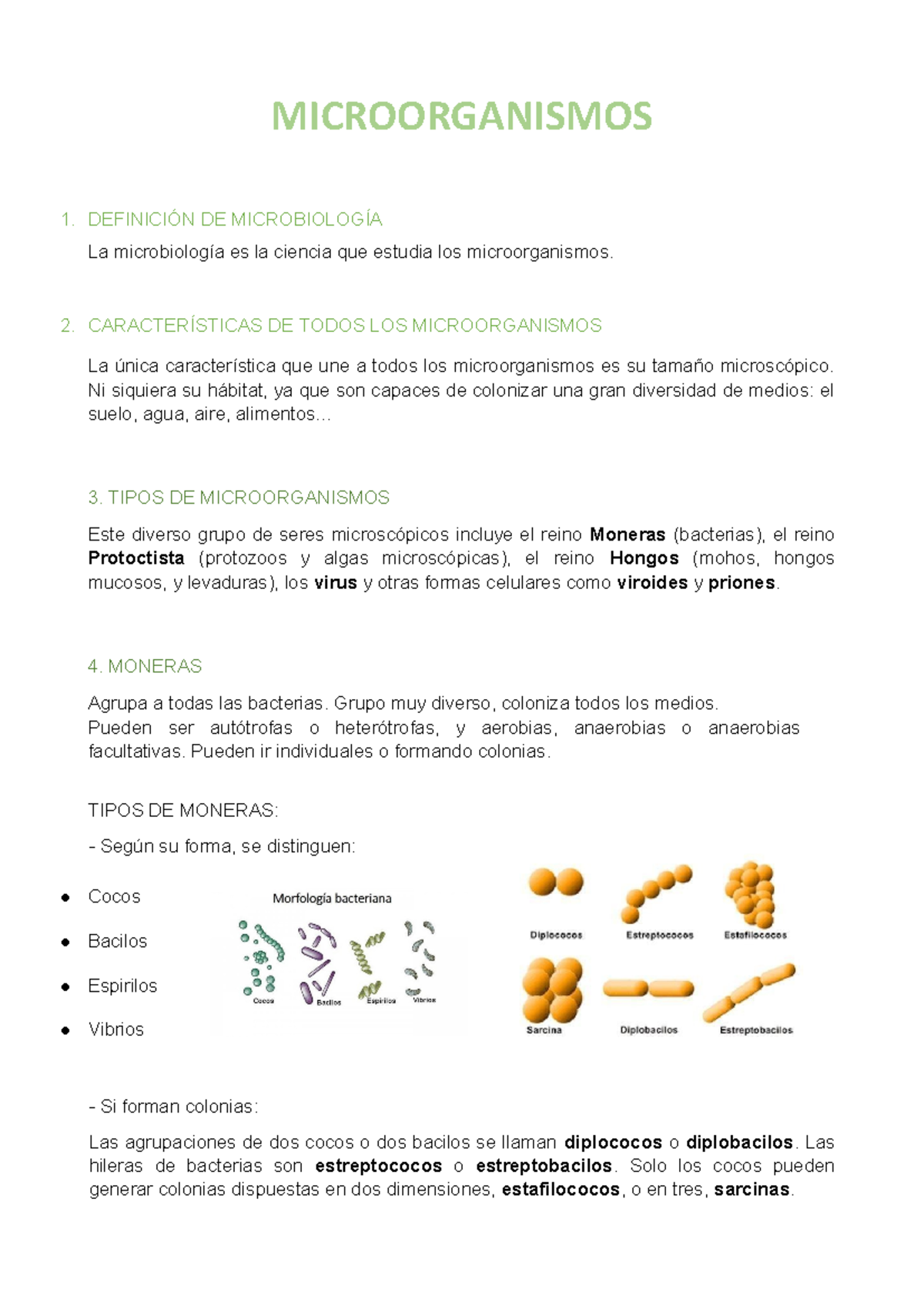 Microorganismos: Definiciones, Clasificación y Funciones en Bact. - Studocu