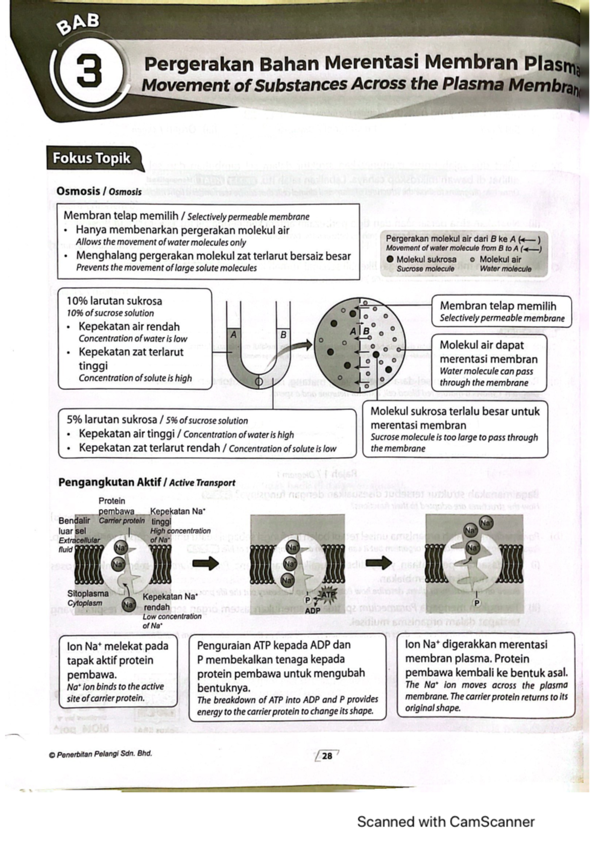 Biologi PBD KSSM Ting. 4 Bab 3: Pergerakan Melalui Membran Plasma - Studocu