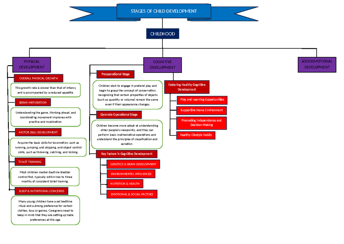 Stages of Child Development: A Comprehensive Overview for Educators ...