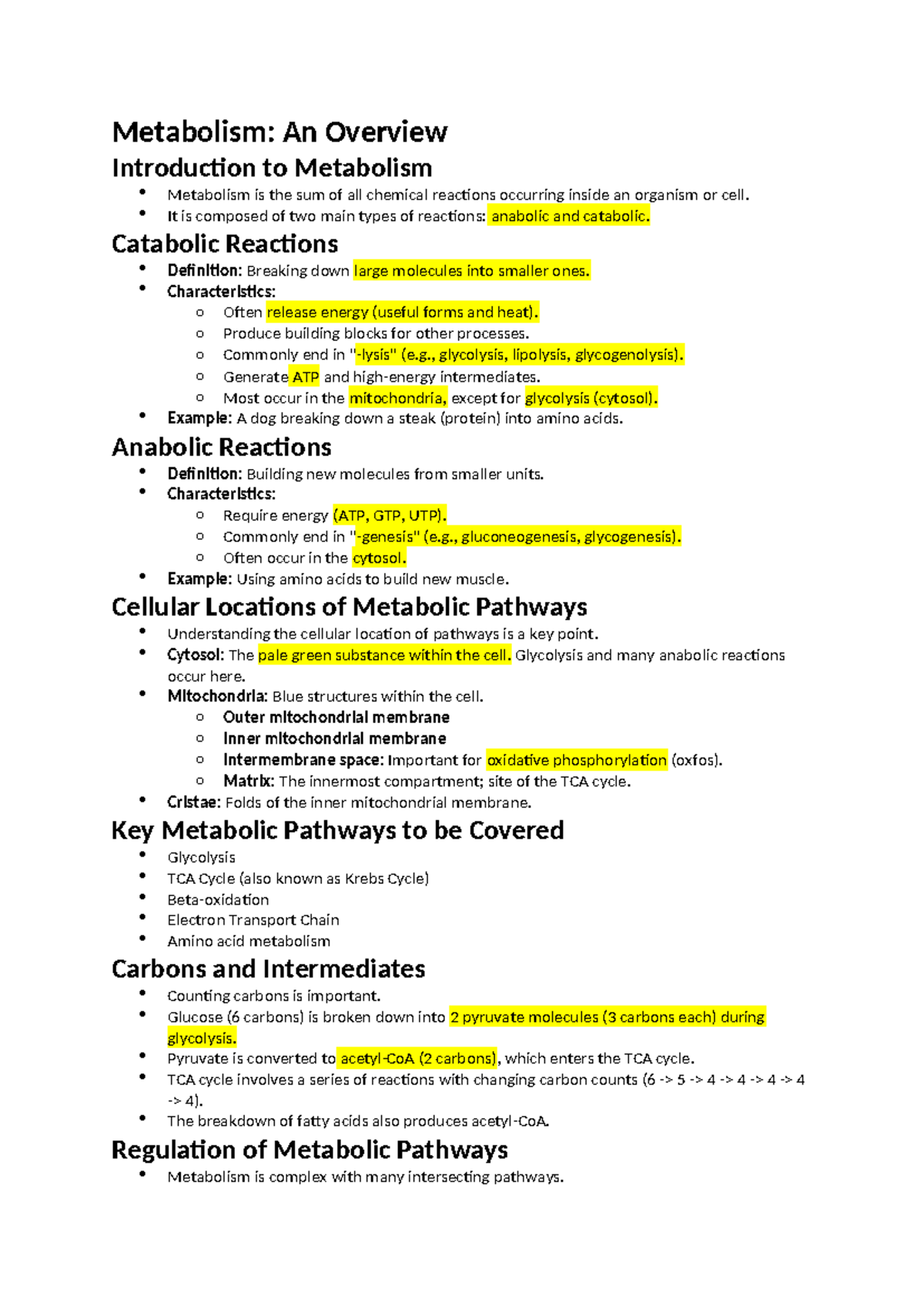Metabolism Overview: Key Pathways and Energy Dynamics (BIO 101) - Studocu