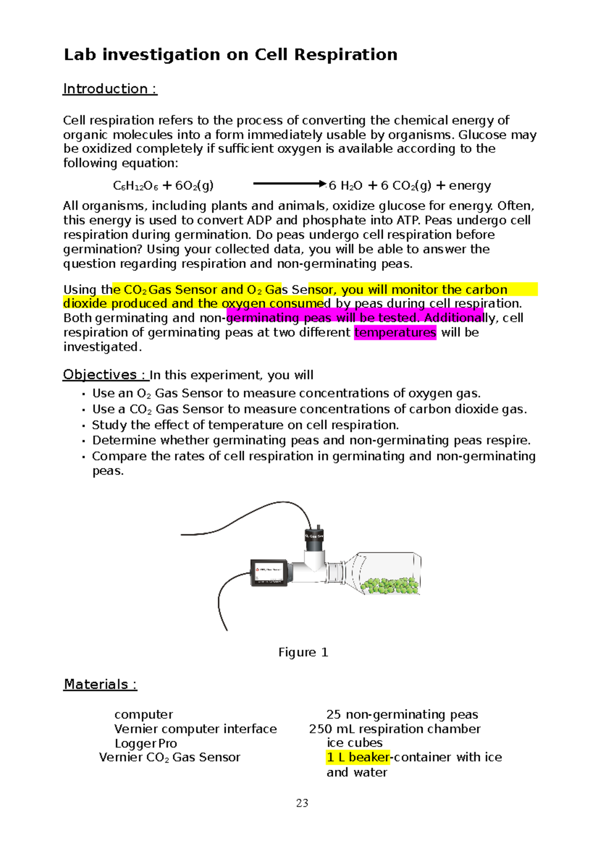 Lab Report on Cell Respiration Experiment - Updated Oct 2021 - Studocu