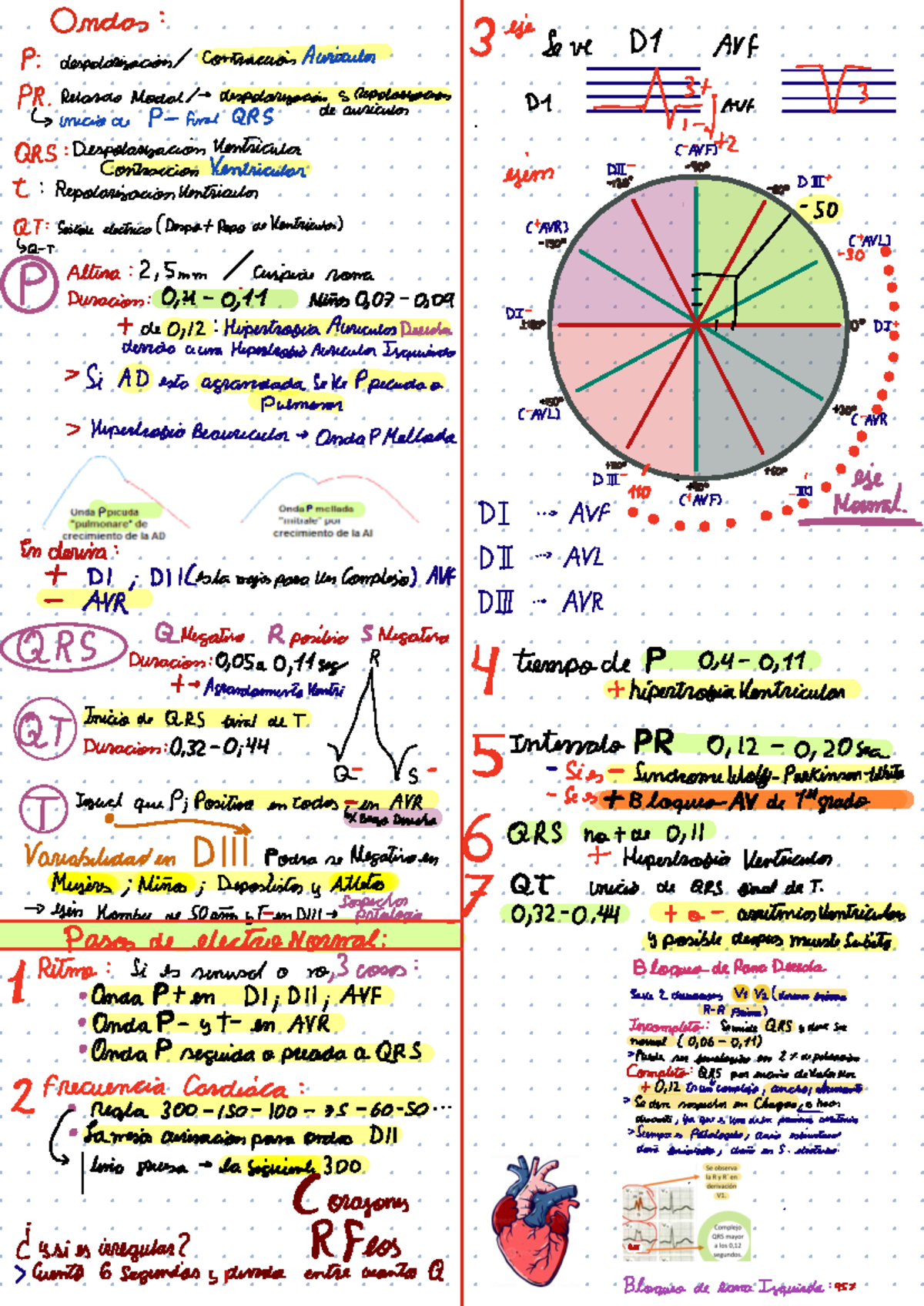 Electrocardiograma Básico: Notas y Lectura (Curso ECG 101) - Studocu