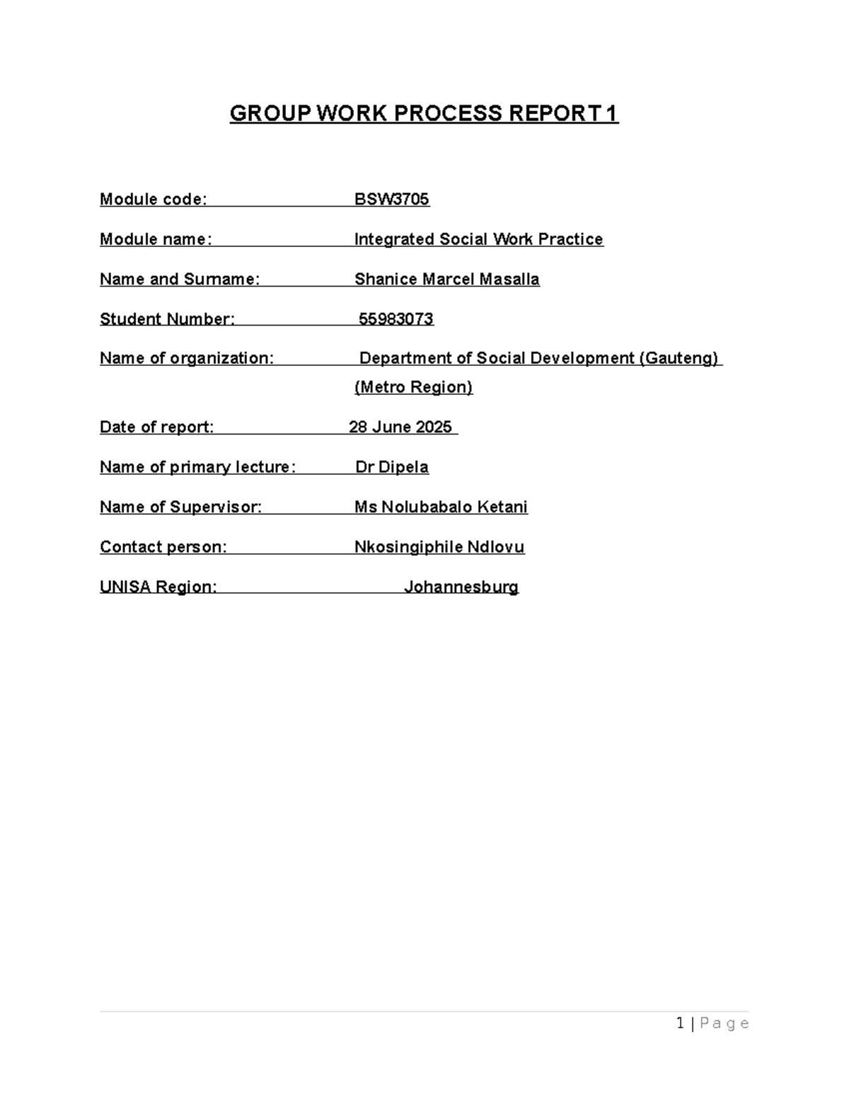 BSW3705 Group Work Process Report 1: Integrated Social Work Practice ...