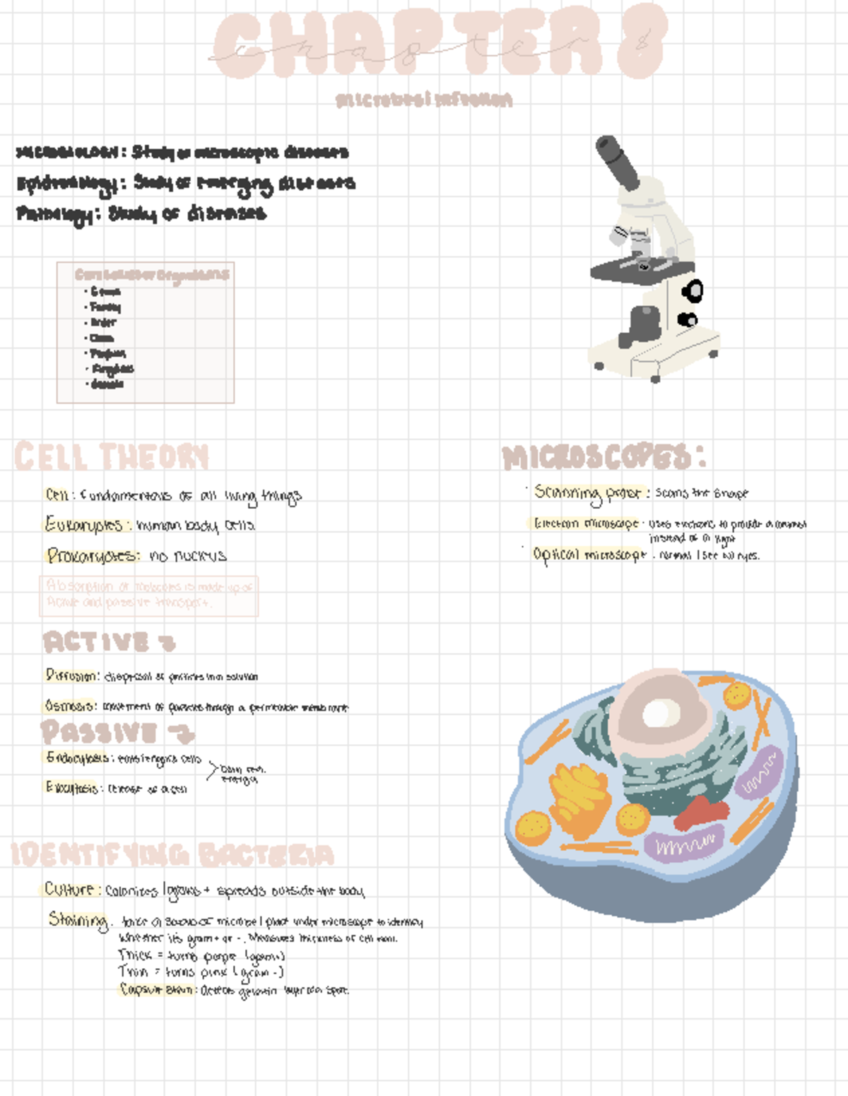 Ch 8 - Surgical Technology Fundamentals Review for SURG111 Exam - Studocu