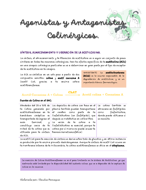 Broncodilatadores - Fármacos broncodi latadores y anti inflamatorios en ...