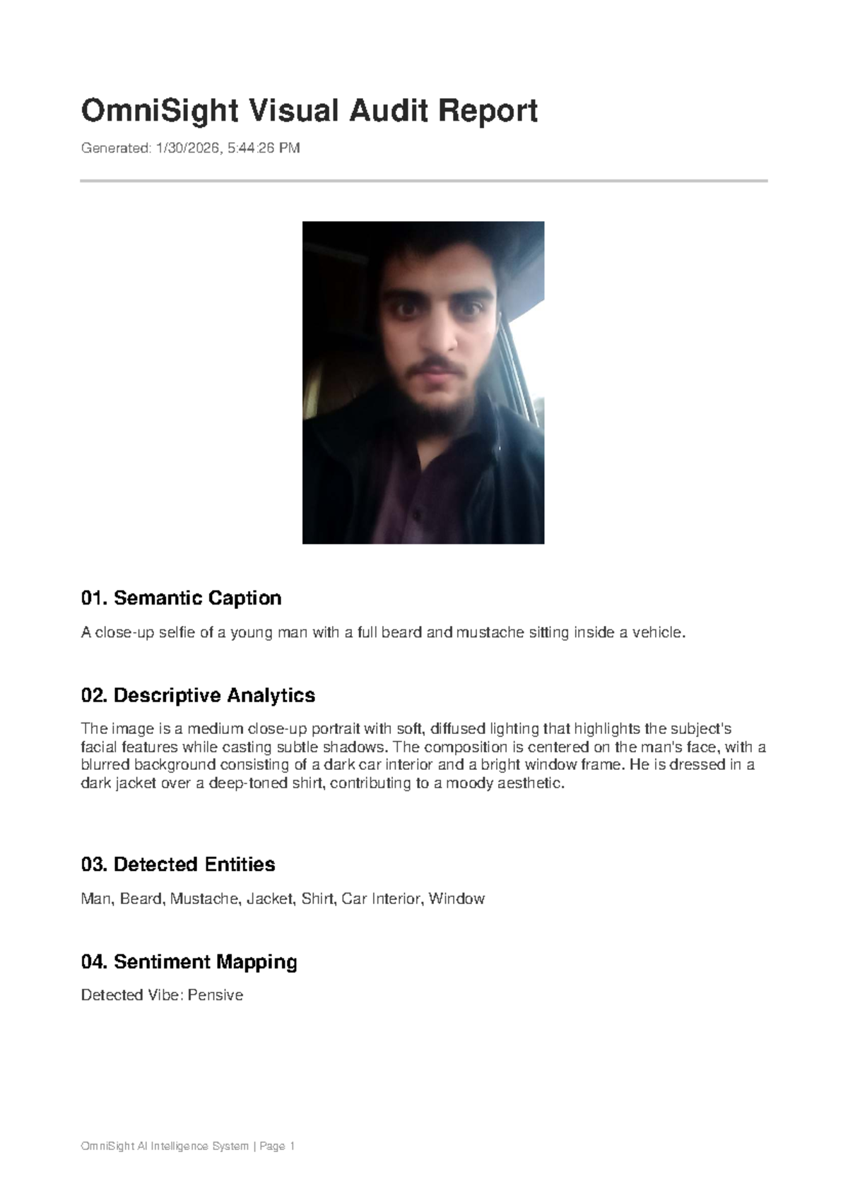 OmniSight Visual Audit Report: Semantic Analysis & Insights - Studocu