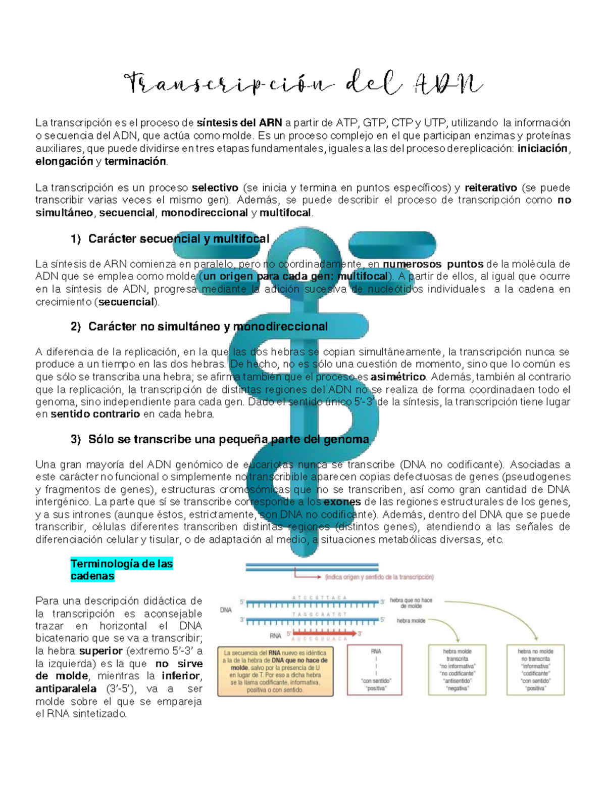 Reacción en cadena de la polimerasa (PCR) (artículo) | Khan Academy, image size:1200x1553