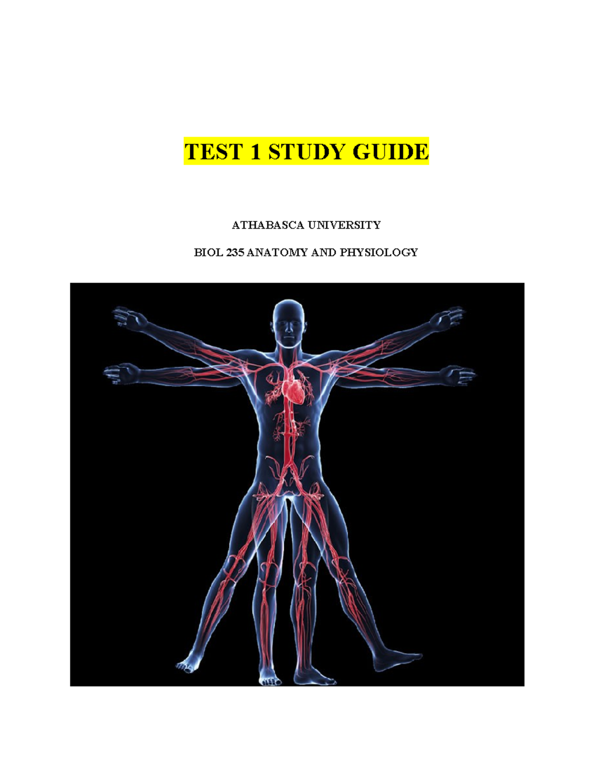 BIOL 235 Final Exam Study Guide: Anatomy & Physiology Key Topics - Studocu