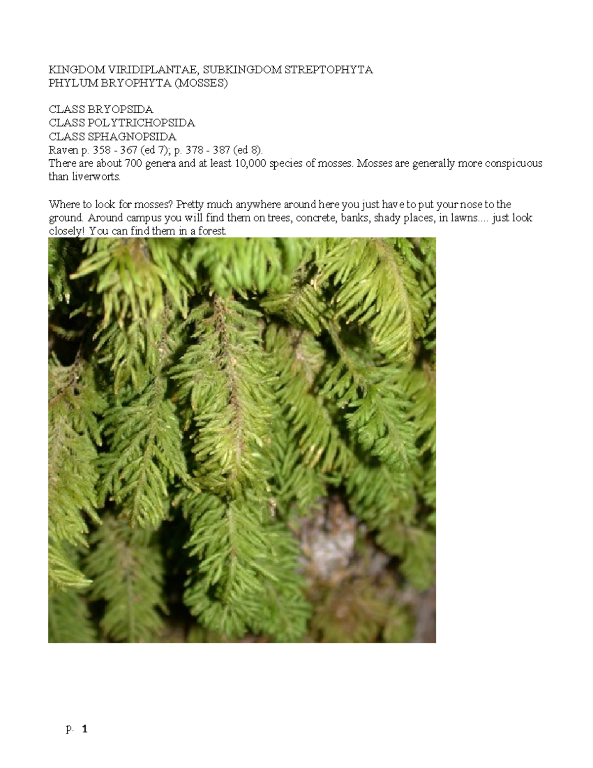 Lab 10: Bryophyta (Mosses) Notes and Class Overview - Studocu