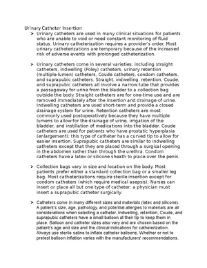 Urinary Catheterization - Study Notes & Assignments - Studocu