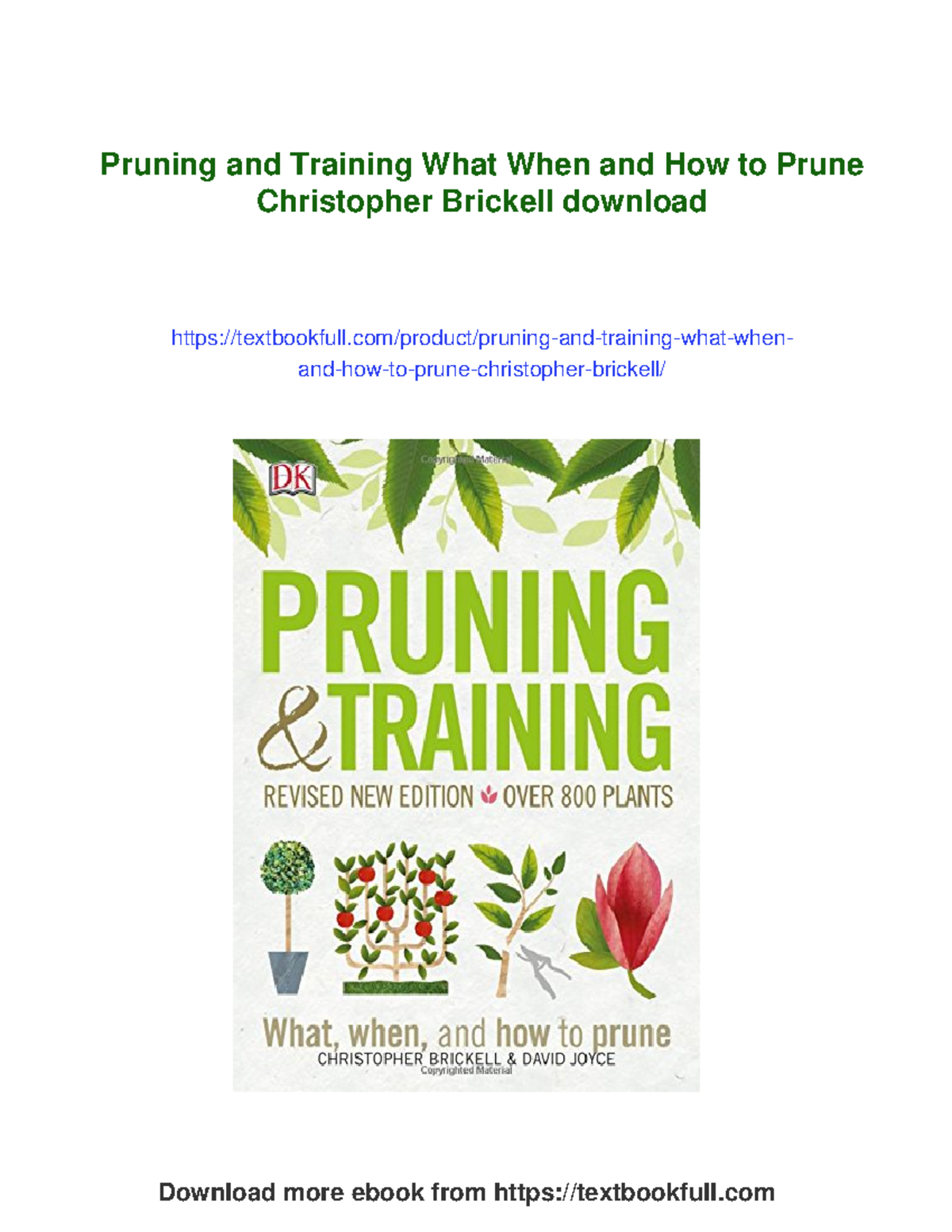 Pruning and Training Techniques: A Comprehensive Guide by Christopher ...