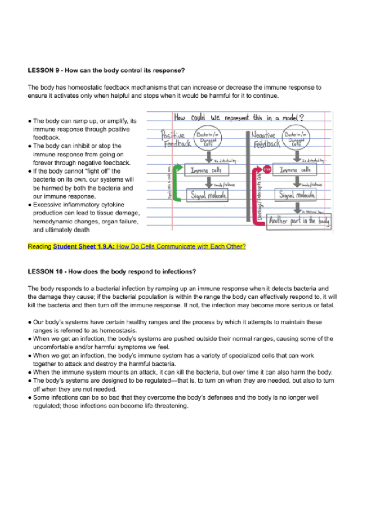 ECO 101 Final Exam Review: Homeostasis & Immune Response Insights - Studocu