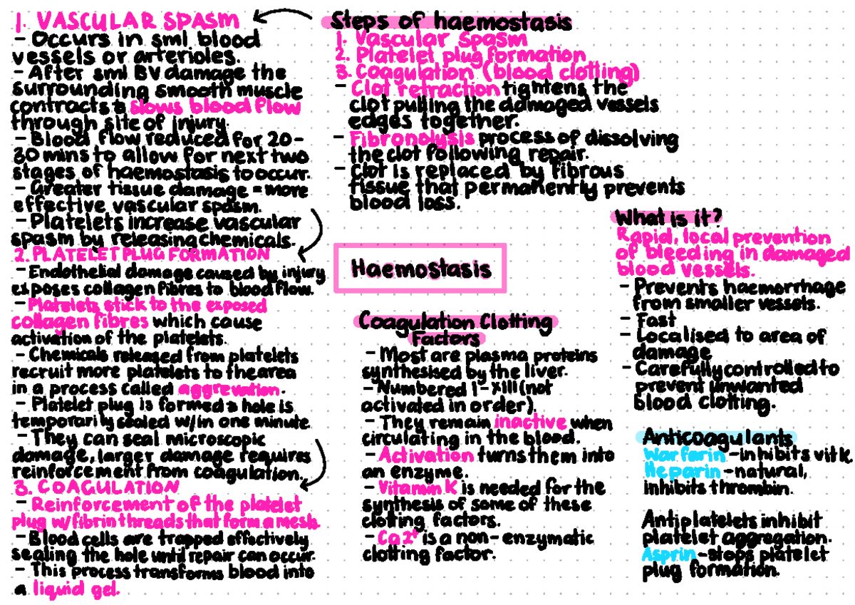 Haemostasis Overview and Mechanisms in Hematology - Studocu
