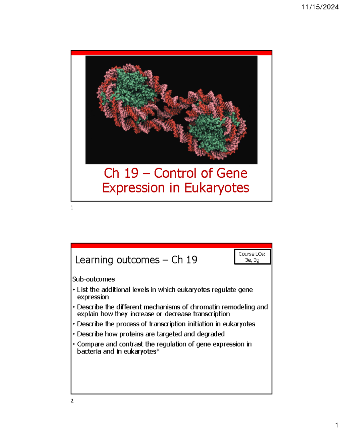 Ch 19 - Mechanisms & Regulation of Gene Expression in Eukaryotes - Studocu
