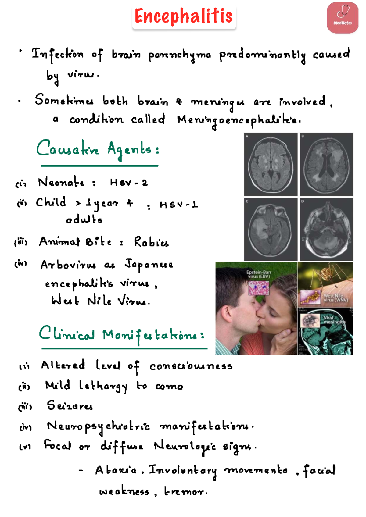 Encephalitis: Causes, Symptoms, and Clinical Manifestations - Studocu