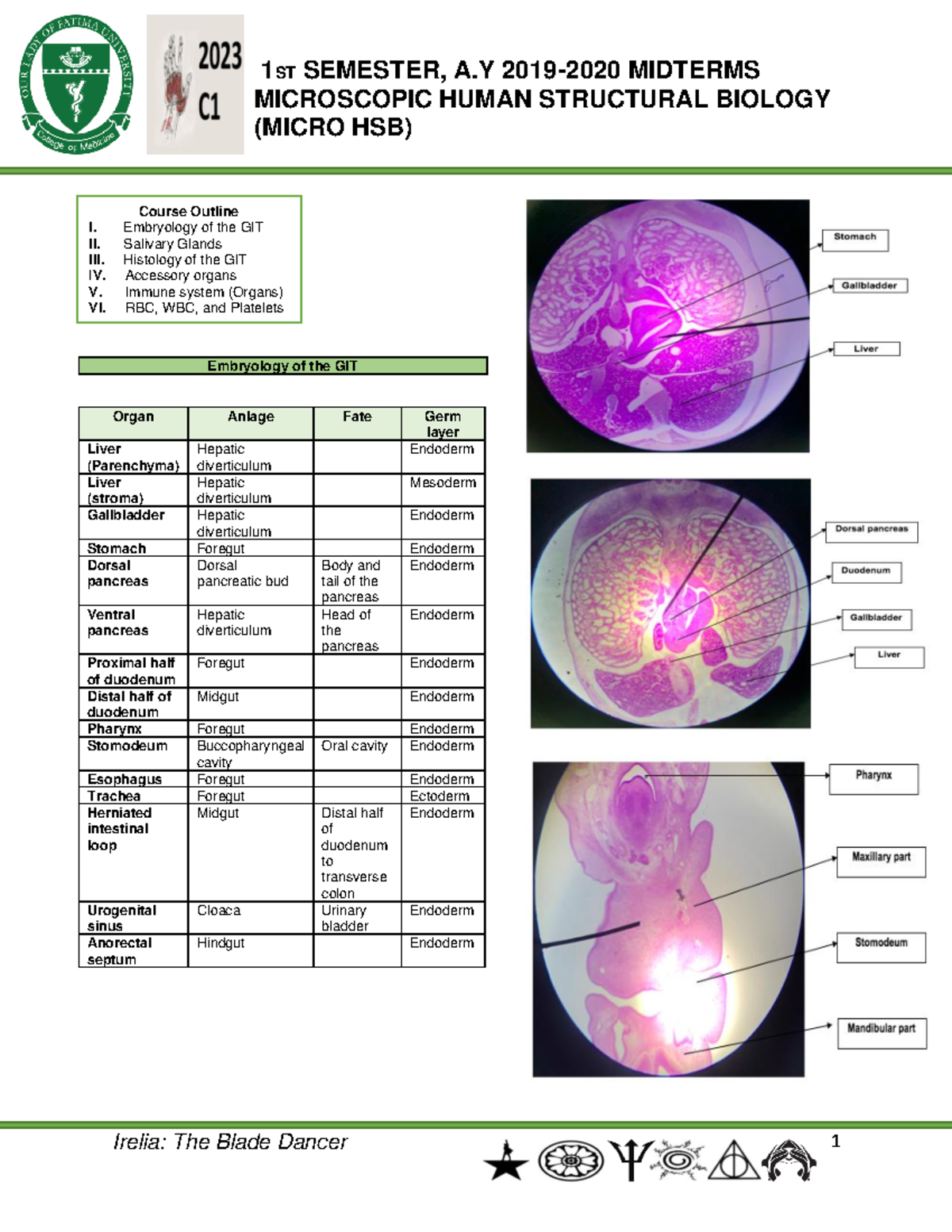 **MICRO HSB: Embryology of the Gastrointestinal Tract Study Notes ...